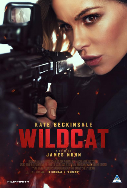 Wildcat poster